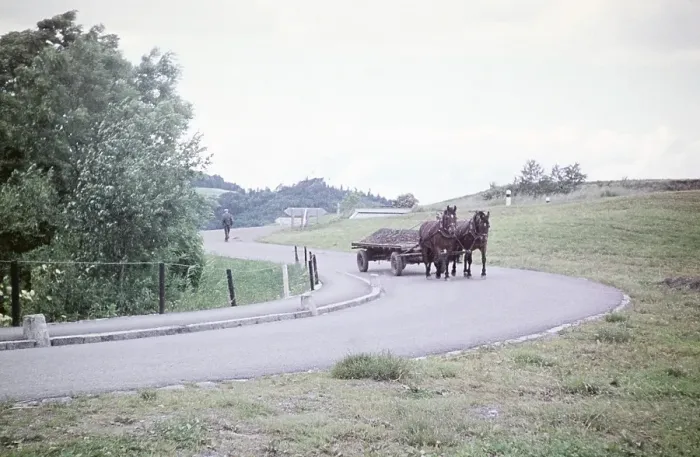 Framed Print : Horse pulling farm cart with earth along a country road, rural area near Bern, Switzerland, Europe, 1961, Europe Framed Print : Horse pulling farm cart with earth along a country road, rural area near Bern, Switzerland, Europe, 1961, Europe