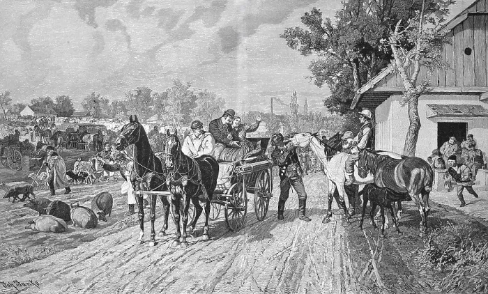 Framed Print : Horse trade, horse market, around 1900 Framed Print : Horse trade, horse market, around 1900