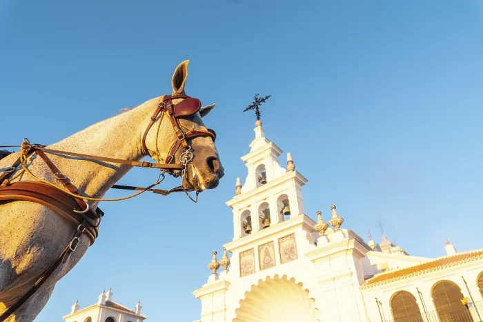 Framed Print : A horse next to the white facade in the sunset at the Rocio sanctuary in the Rocio festival