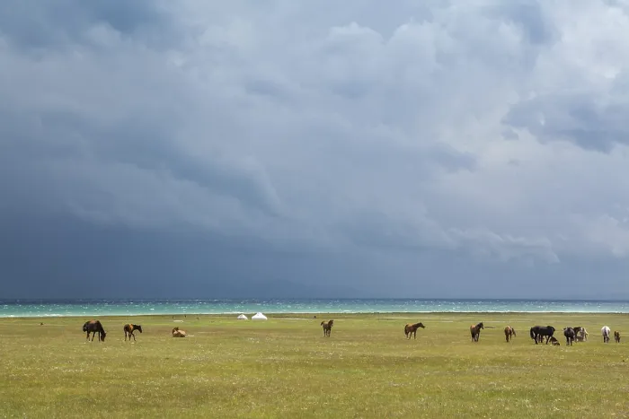 Framed Print : Horses under rain clouds at the lake Song Kul