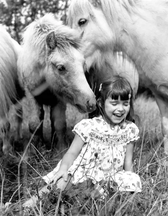 Framed Print : Horses sniff a girl, England, Great Britain