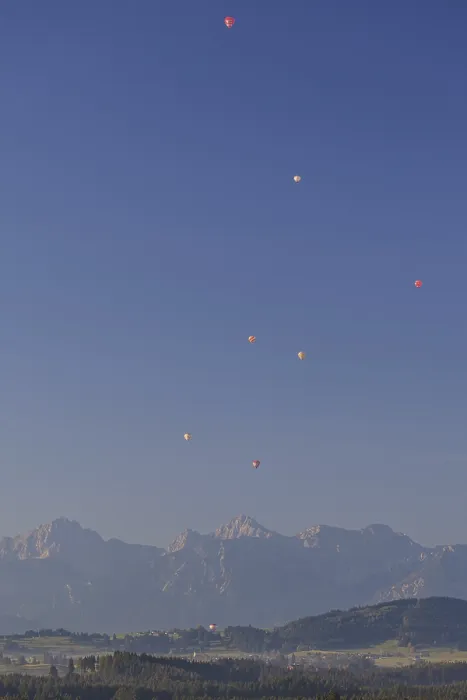Framed Print : Hot air balloons, morning light