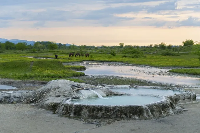 Framed Print : Hot spring pool in extensive nature with horses in the background under an evening sky