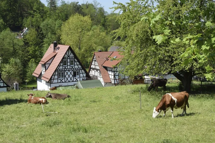 Framed Print : House, Sasbachwalden, Black Forest