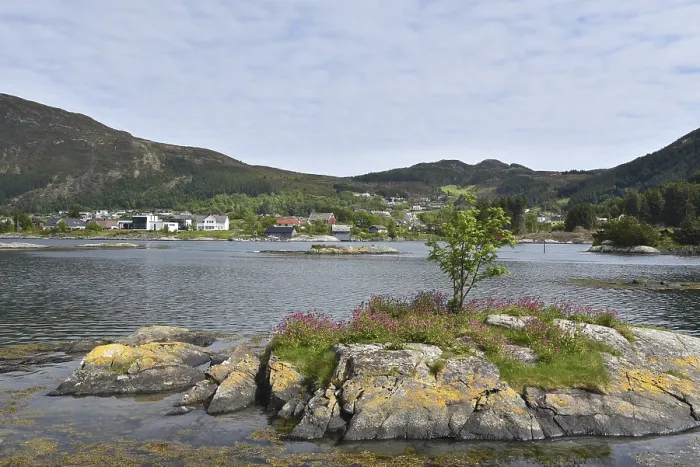 Framed Print : Houses on a fjord landscape in Norway Framed Print : Houses on a fjord landscape in Norway