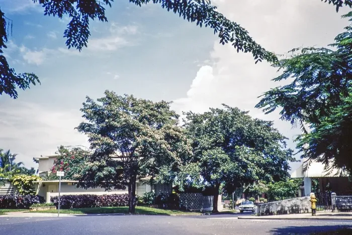 Framed Print : Houses in a residential suburb, San Juan, Puerto Rico 1961