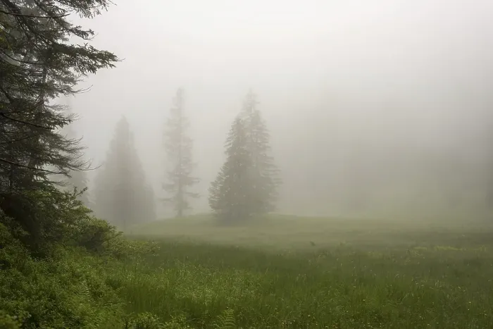 Framed Print : Huehnermoos on a cloudy day with fog