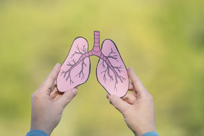 Framed Print : Human lung in front of forest, trees for fresh healthy breathing air Framed Print : Human lung in front of forest, trees for fresh healthy breathing air
