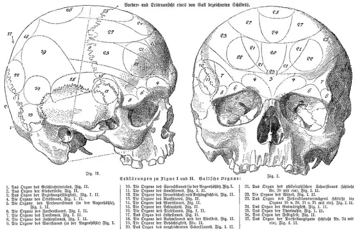 Framed Print : Human skull, anatomical illustration by Franz Joseph Gall Framed Print : Human skull, anatomical illustration by Franz Joseph Gall