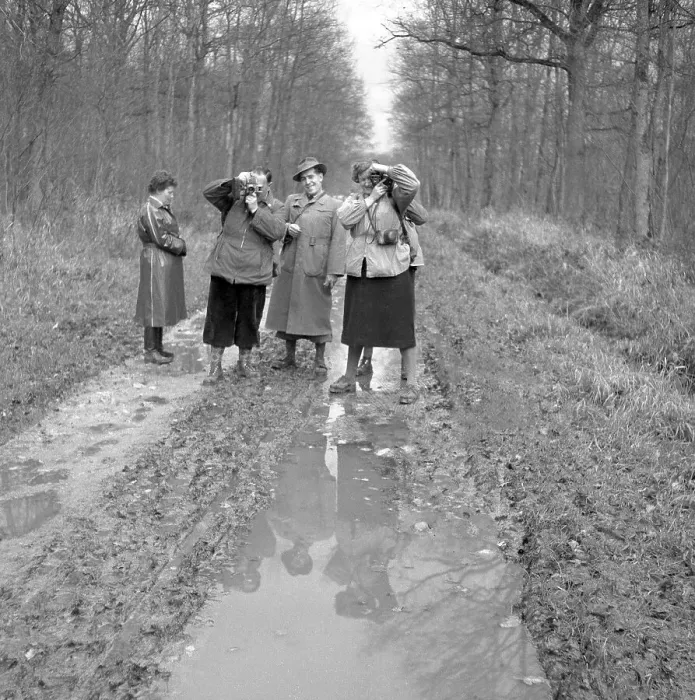 Framed Print : Humans on a forest road, ca. 1950 Framed Print : Humans on a forest road, ca. 1950