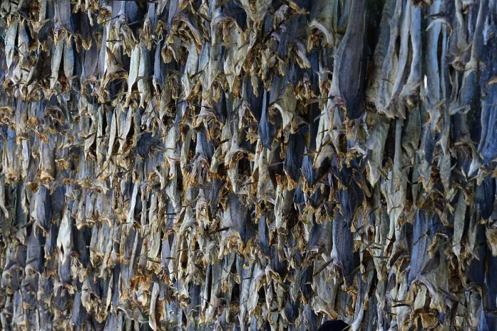 Framed Print : Hung up drying fish, Sommeroya