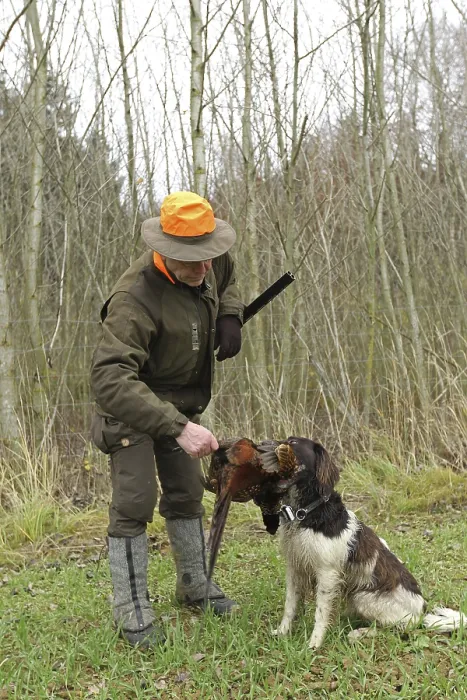 Framed Print : Hunter with shot pheasant (Phasianus colchicus) retrieved by hunting dog Kleiner Munsterlander