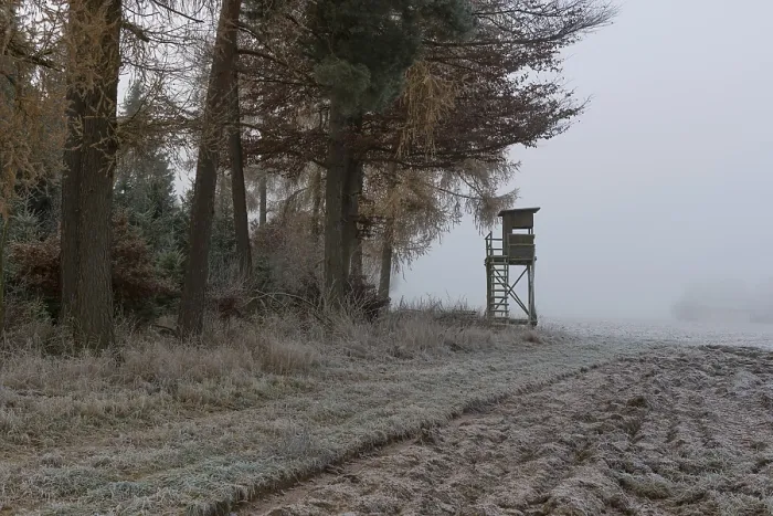 Framed Print : Hunter's blind at the edge of the forest in morning fog