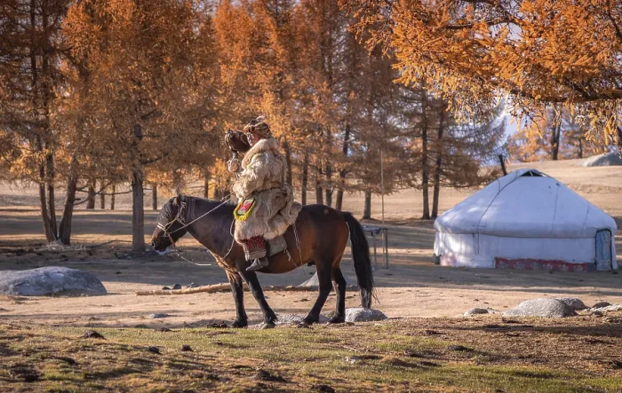 Framed Print : Go hunting with his eagle. Western Mongolia