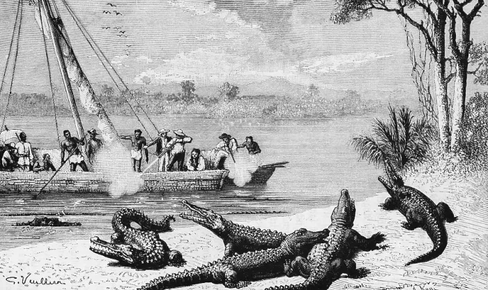 Framed Print : Hunting with a rifle for alligators and crocodiles in the South American tropics, European travellers shooting, sailing boat on a river with indigenous crew, river bank, South America, travel, historical illustration 18888