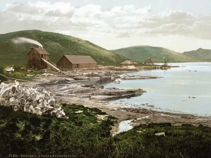 Framed Print : Hvalfanger Station, whaling station in Tufjord