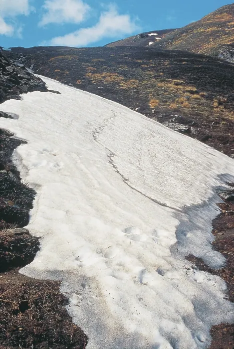 Framed Print : Ice Tongue Near Kuari Pass, Garhwal