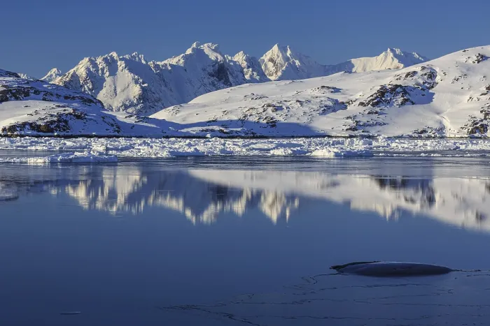 Framed Print : Icebergs in fjord in front of snowy mountains
