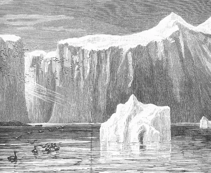 Framed Print : Icebergs floating in the Labrador Sea south of Greenland, ducks and birds, polar region, climate change, travelling, historical illustration 18888