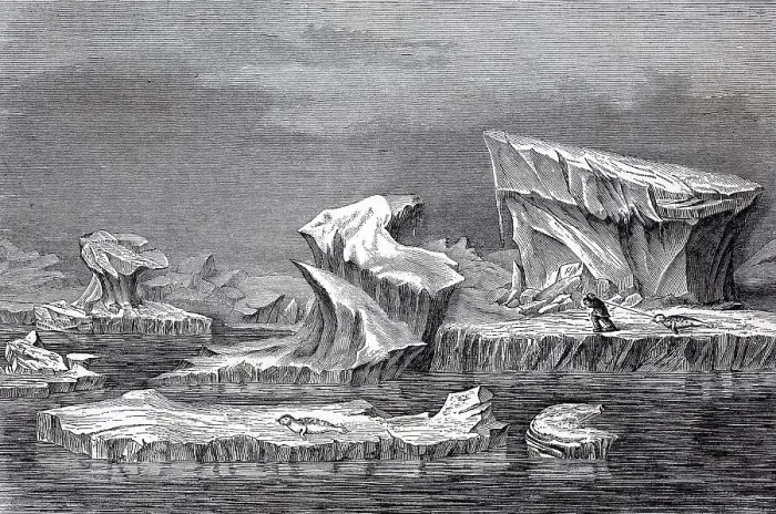 Framed Print : Icebergs off the coast, in 1870 of Greenland