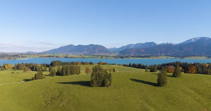 Framed Print : Idyllic landscape with Forggensee Framed Print : Idyllic landscape with Forggensee