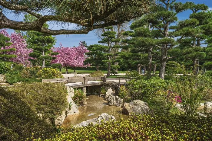 Framed Print : Idyllic landscape of Japanese garden Framed Print : Idyllic landscape of Japanese garden
