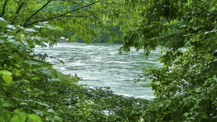 Framed Print : An idyllic river flows through a dense Framed Print : An idyllic river flows through a dense