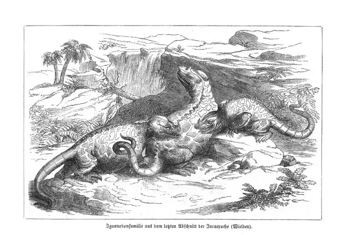 Framed Print : Iguanodon, dinosaur, lizard, mother with two young animals