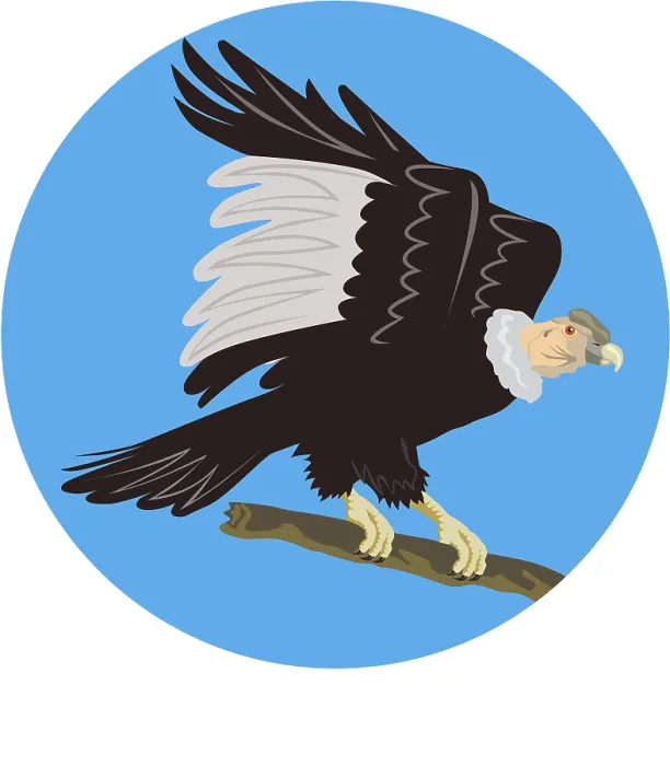Framed Print : Illustration of a California Condor perching on branch viewed from side set inside circle on isolated white background
