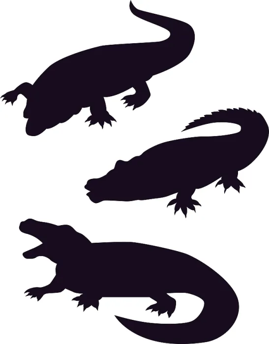 Framed Print : Illustration of different reptiles isolated on a white background Framed Print : Illustration of different reptiles isolated on a white background