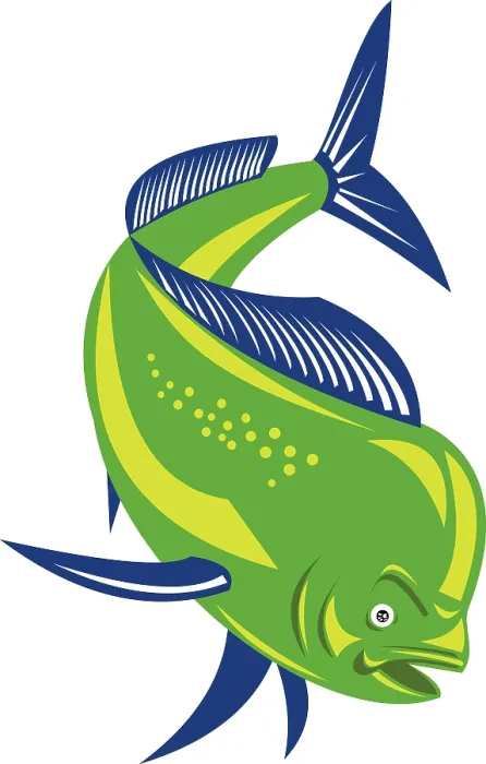 Framed Print : Illustration of a dorado dolphin fish mahi-mahi jumping on isolated background
