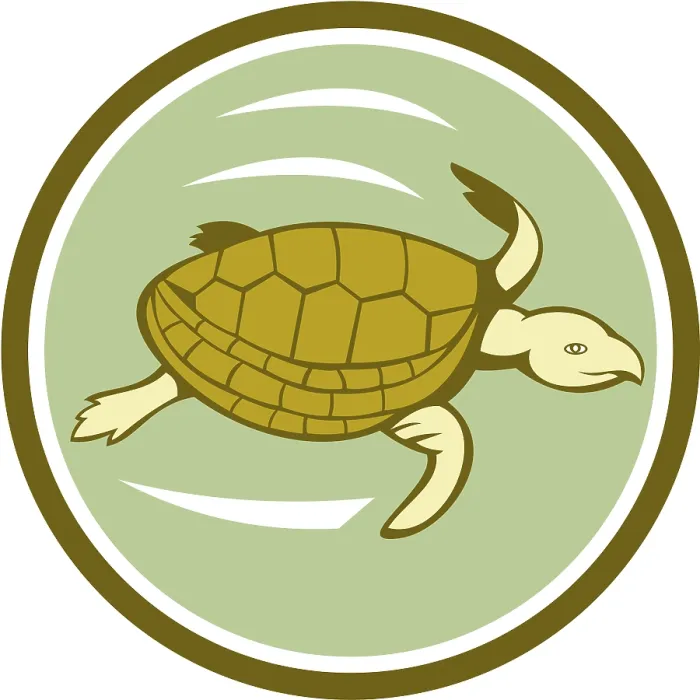 Framed Print : Illustration of a sea marine turtle swimming viewed from the side set inside circle on isolated background done