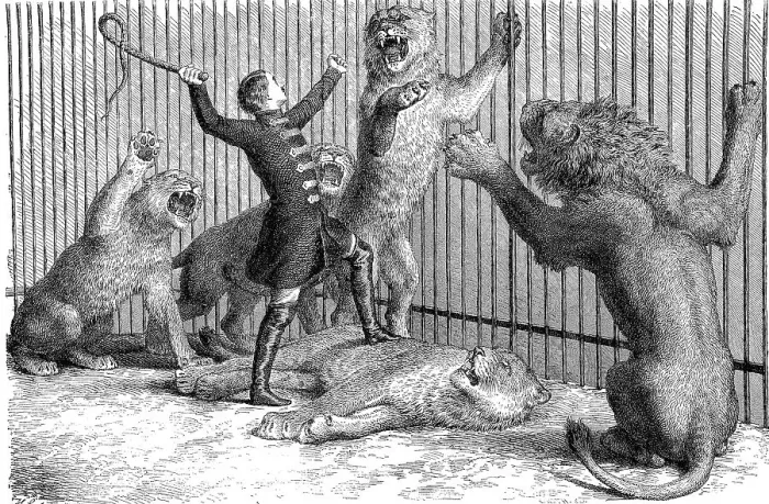 Framed Print : Illustration by Thomas Batty, English lion tamer and circus owner with his lions