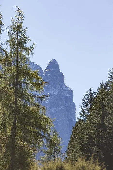 Framed Print : Ilmspitze mountain with forest in autumn Framed Print : Ilmspitze mountain with forest in autumn