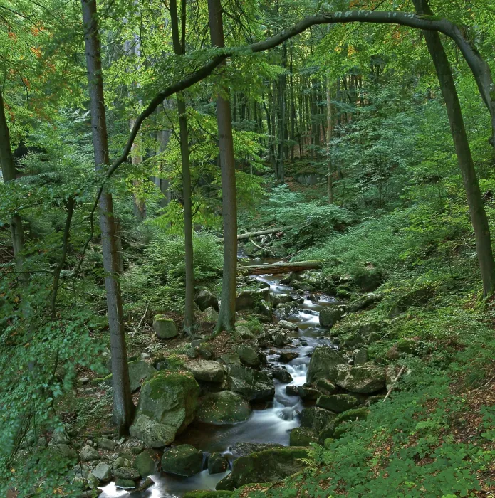 Framed Print : Ilse river, Harz, Ilsenburg, Saxony-Anhalt