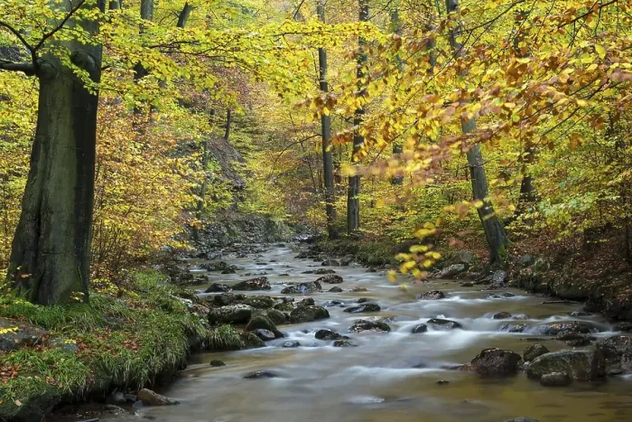 Framed Print : Ilse stream, autumn, Harz National Park