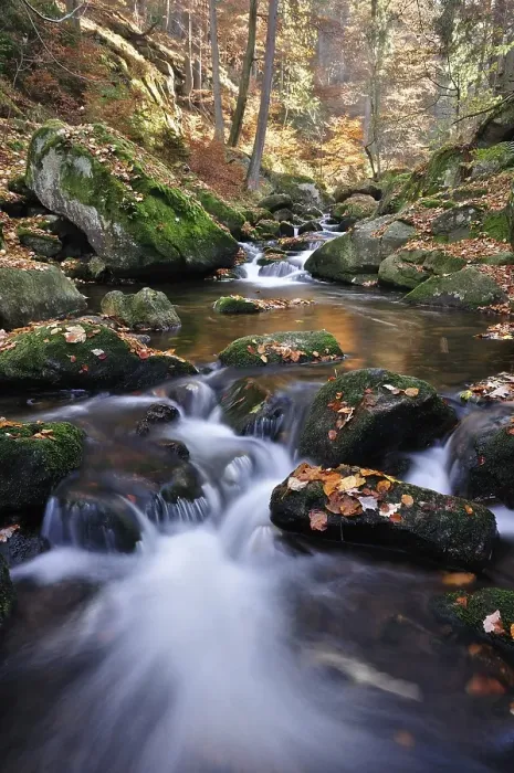 Framed Print : Ilse stream in the Ilsetal valley in autumn Framed Print : Ilse stream in the Ilsetal valley in autumn