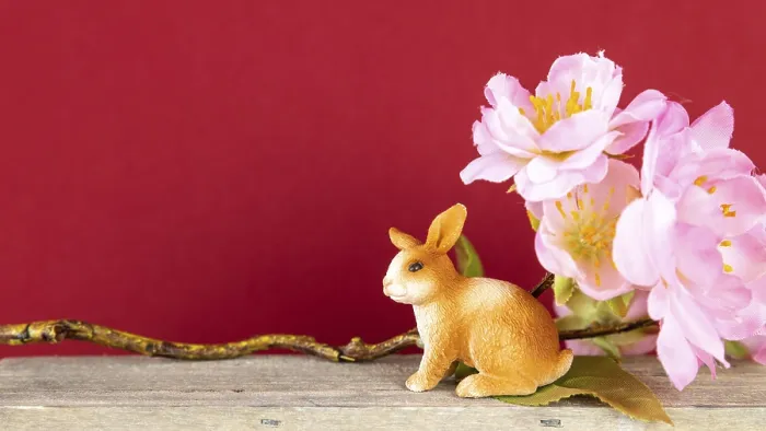 Framed Print : An image of an Easter decoration rabbit and cherry blossoms Framed Print : An image of an Easter decoration rabbit and cherry blossoms