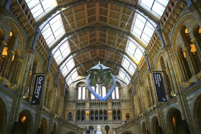 Framed Print : Impressive interior view of a historic building with skeleton exhibition and elaborate ceiling structure Framed Print : Impressive interior view of a historic building with skeleton exhibition and elaborate ceiling structure