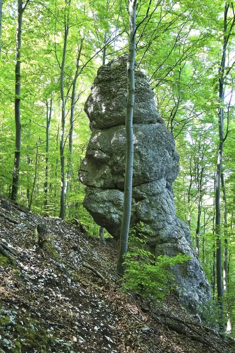 Framed Print : Impressive rock in a dense, green forest