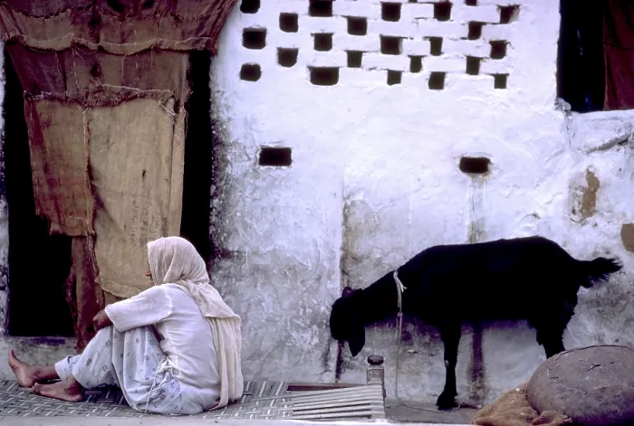 Framed Print : India, Rajahstan, Man and Goat