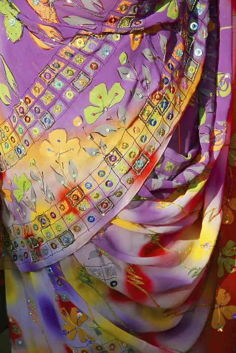 Framed Print : Indian embroidered dress sari