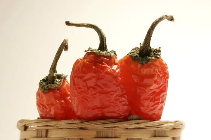 Framed Print : Indian spice in the form of one semi dried red pepper also known as chilly