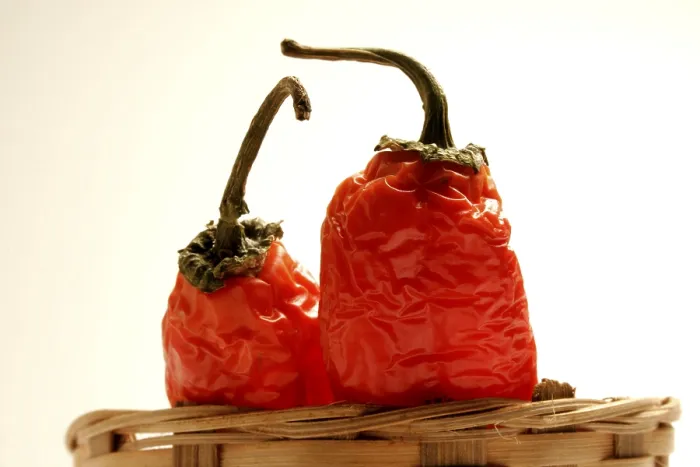 Framed Print : Indian spice in the form of one semi dried red pepper also known as chilly