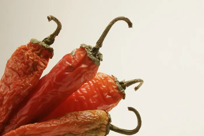 Framed Print : Indian spice in the form of one semi dried red pepper also known as chilly Framed Print : Indian spice in the form of one semi dried red pepper also known as chilly
