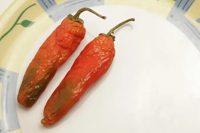 Framed Print : Indian spice in the form of one semi dried red pepper also known as chilly in a plastic plate Framed Print : Indian spice in the form of one semi dried red pepper also known as chilly in a plastic plate