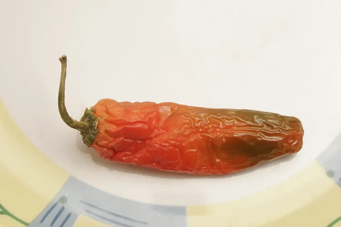 Framed Print : Indian spice in the form of one semi dried red pepper also known as chilly in a plastic plate Framed Print : Indian spice in the form of one semi dried red pepper also known as chilly in a plastic plate