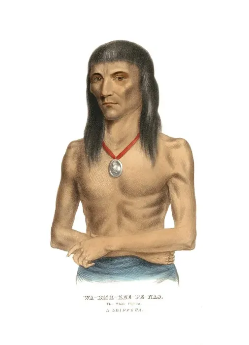 Framed Print : Indians, Native Americans of North America Framed Print : Indians, Native Americans of North America