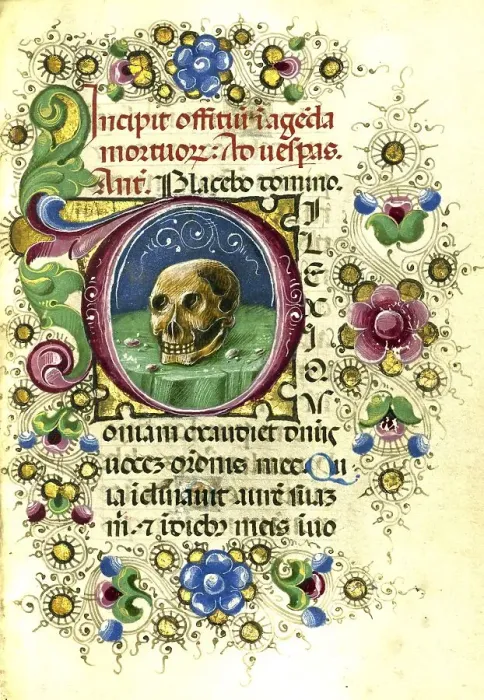 Framed Print : Initial D. A human skull on a table