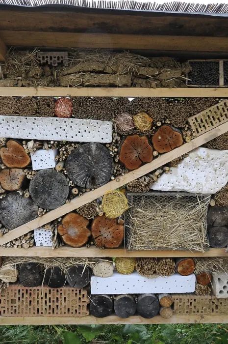 Framed Print : Insect hotel, nesting aid for insects Framed Print : Insect hotel, nesting aid for insects
